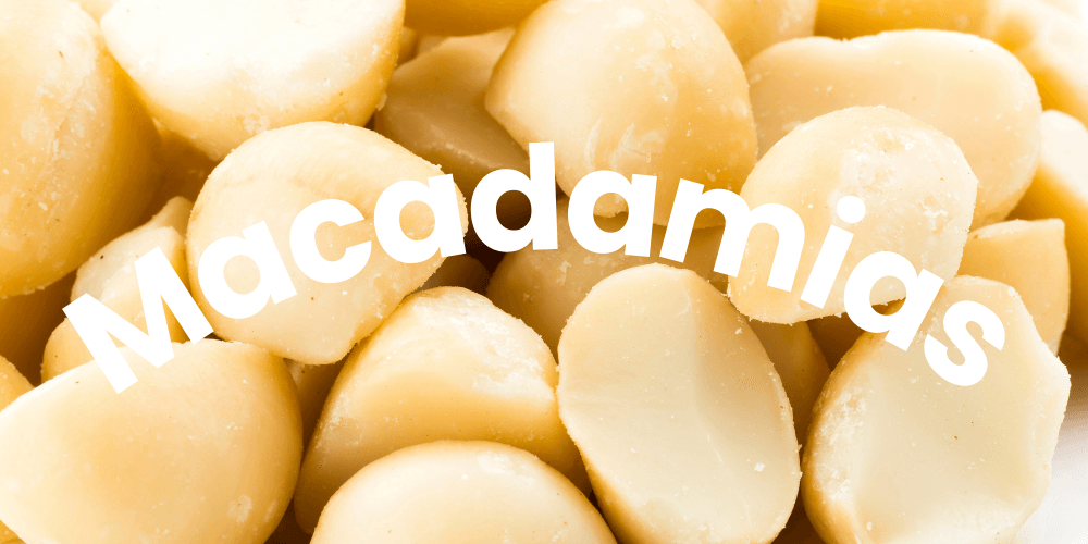 Macadamia Nuts
